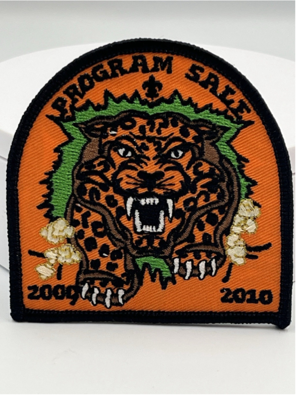 Vintage 2000-2010 Program Sale Twill Orange BSA Boy Scouts Camp Patch COLLECT